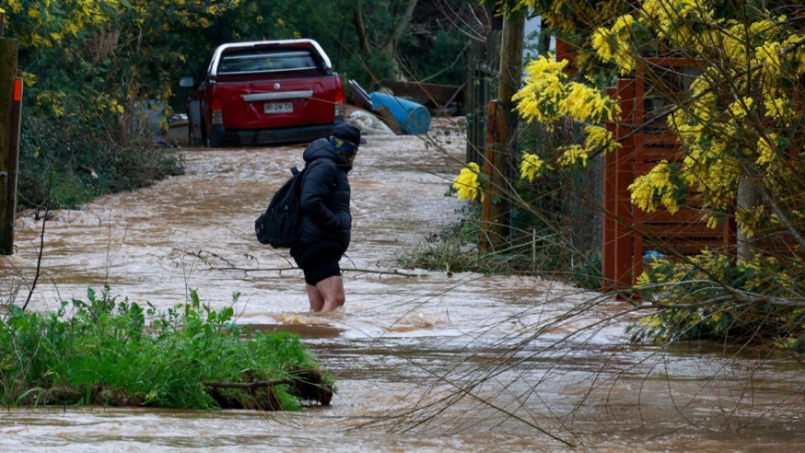 La Araucanía: Más de 3.700 agricultores reportan graves daños tras sistema frontal