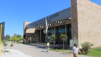 Denuncian a anestesiólogo por abusar de pacientes sedadas: Sigue trabajando en hospital de Vallenar