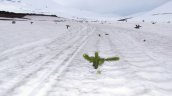 Conaf denunció ingreso ilegal de motos de nieve y daños a araucarias en Reserva Malalcahuello