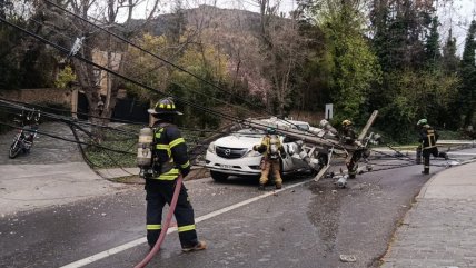 El viento botó un árbol, que cayó sobre cables y derribó poste que aplastó a un auto