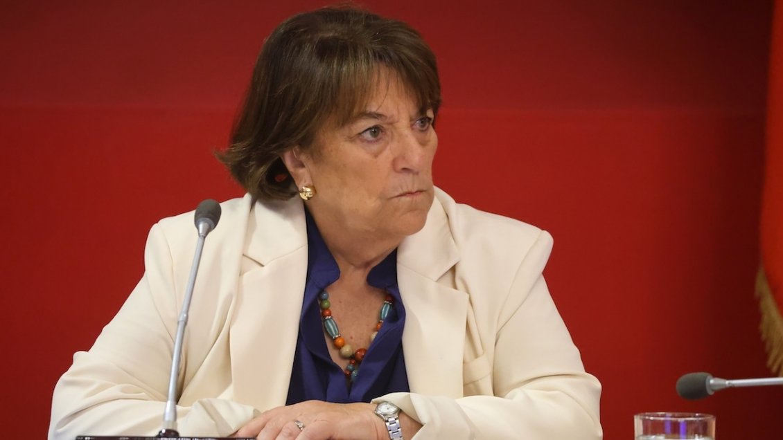 Exministra Delpiano: Debemos estar vigilantes del tema fronterizo con Argentina
