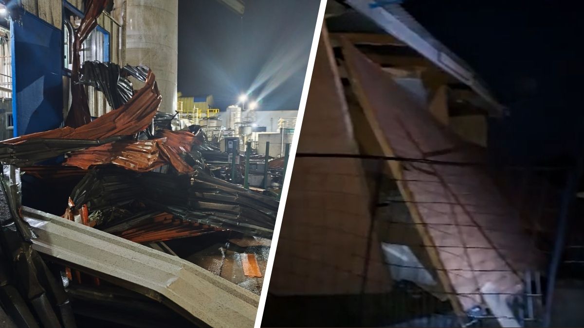 Vientos tornádicos causaron daños y cortes de luz en Ñuble