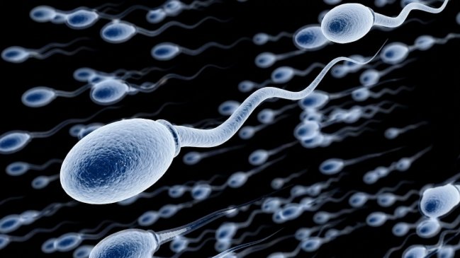 Major sperm donor says he fathered 200 children in four countries