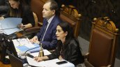 Por griterío en las tribunas, Senado postergó discusión sobre Sala Cuna