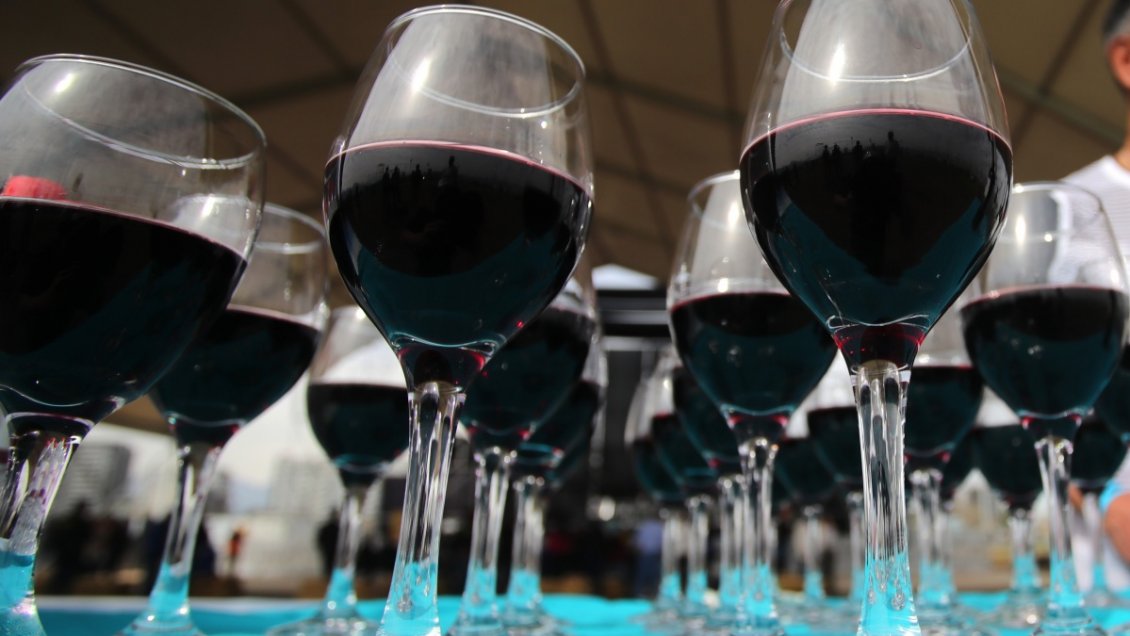 Día del Vino, entre rescate de cepas y catas