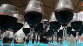 Día del Vino, entre rescate de cepas y catas