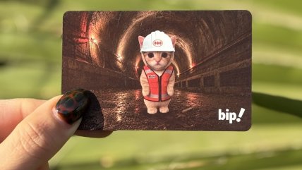 ¿Cuánto durarán? Salió a la venta la nueva edición de la "Michi Bip"