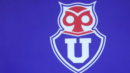   Liquidador de Sartor convocó a exalumnos de la U. de Chile a participar en compra de Azul Azul 
