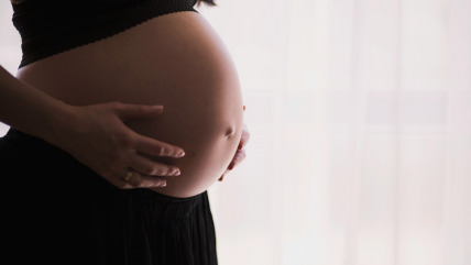   Gestación subrogada, aborto y custodia: complejo caso llega al Supremo de EE.UU. 