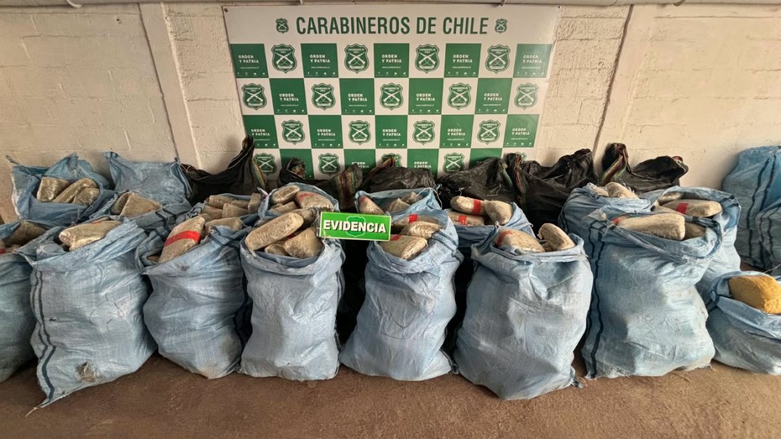 Incautan en Calama 660 kilos de marihuana que iban a venderse en Fiestas Patrias