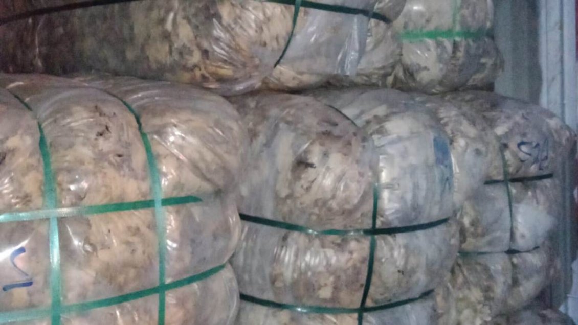 Chile abrió las puertas del mercado textil indio con histórico envío de lana magallánica