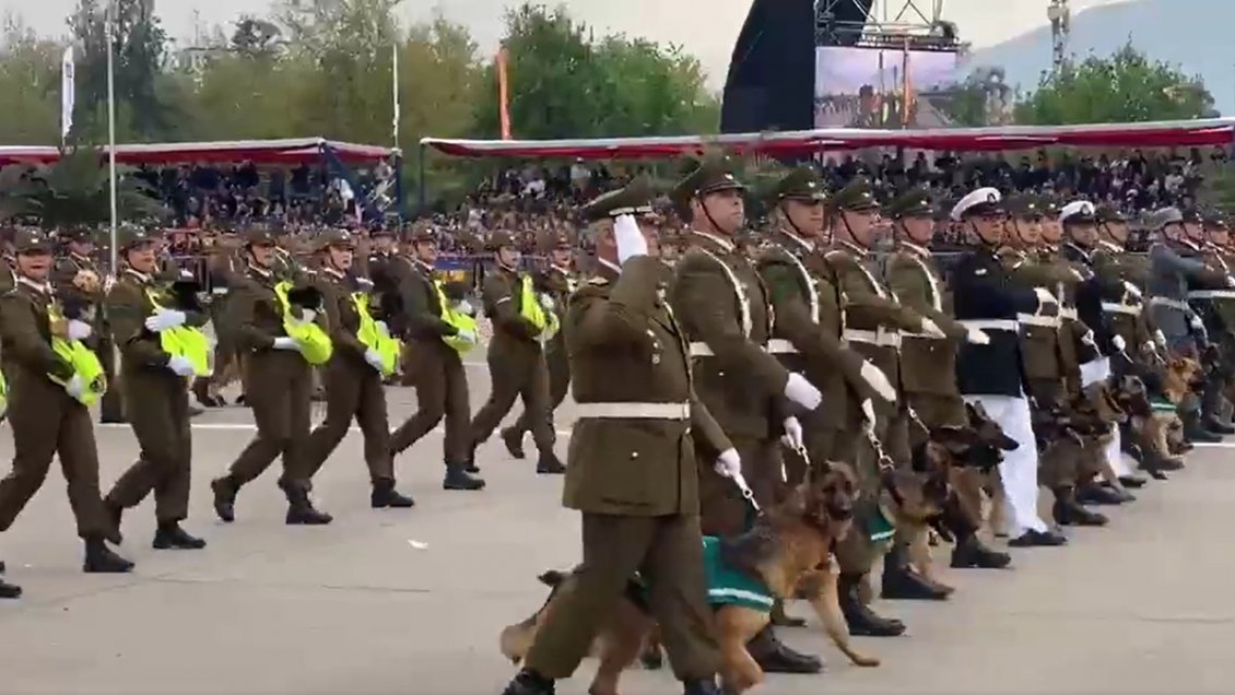 Carabineros desfiló en la elipse del Parque O'Higgins