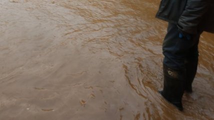  Alerta Roja en Biobío, Cautín y Valdivia deja decenas de aislados y desbordes de ríos  