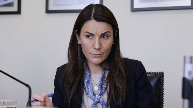 Eventual recorte a la gratuidad agita aguas en educación con miras al Presupuesto