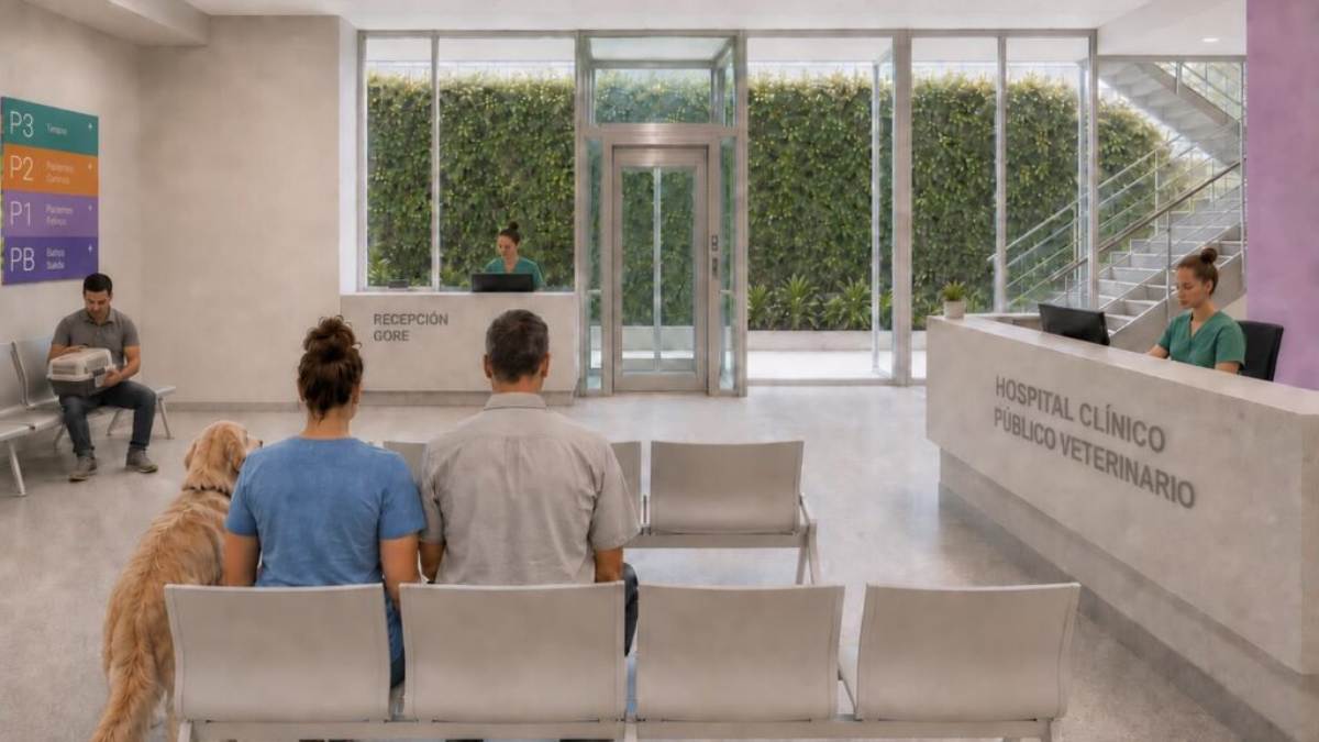 La Región Metropolitana tendrá un hospital veterinario público en 2028