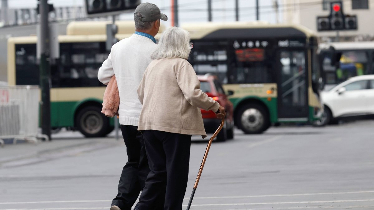 Población residente mayor de 60 años llega al 19,8 del total