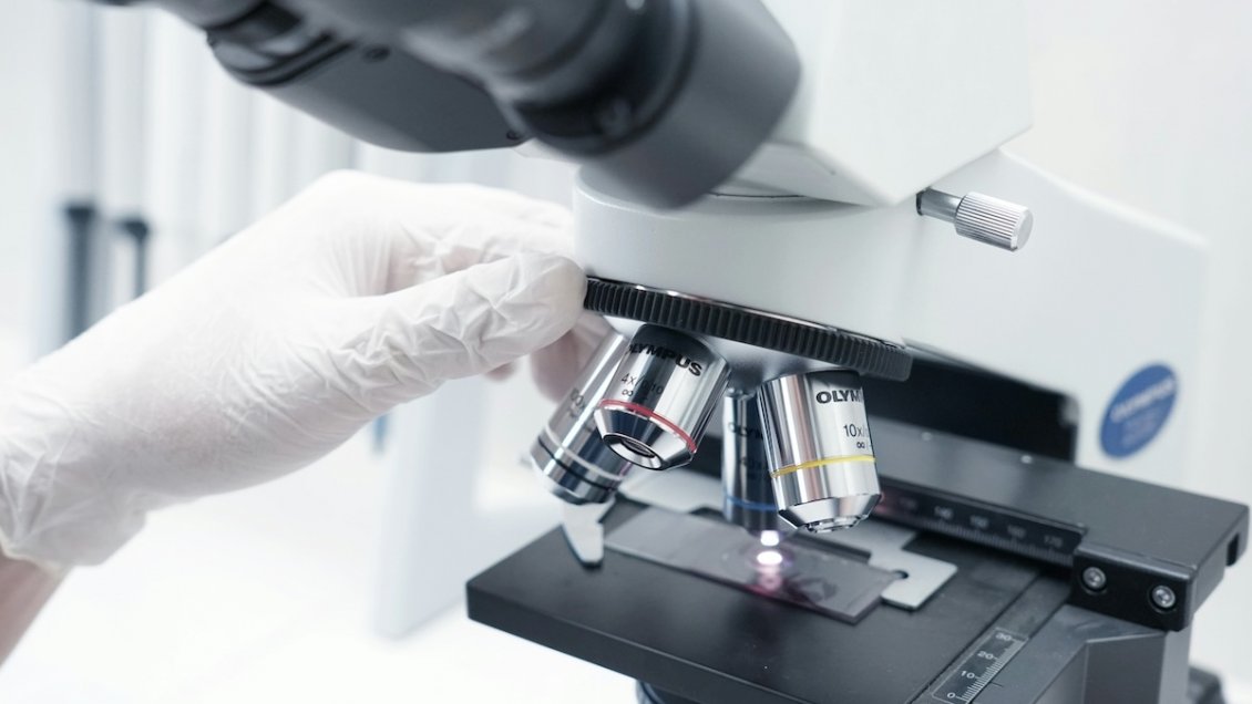 Sofofa y Corfo impulsan la biotecnología chilena en los mercados globales