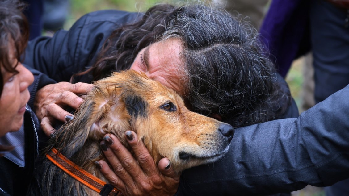 Rescate del perro "Morocho" mantuvo en vilo a Santiago