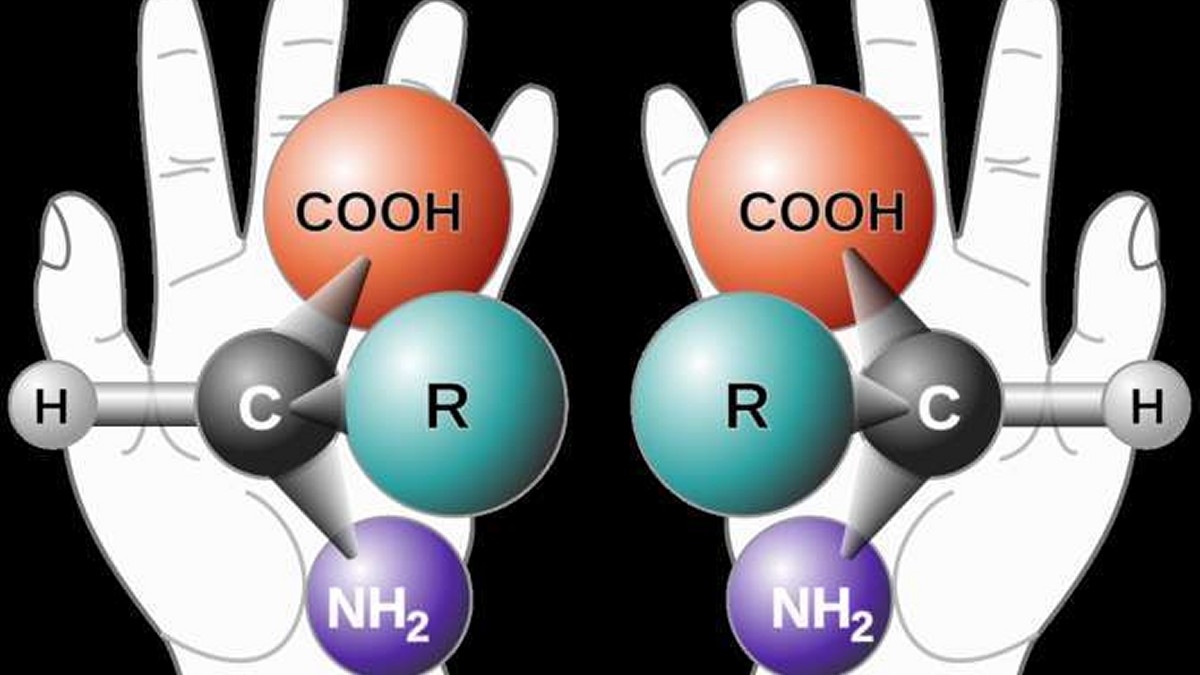 ¿Qué es la homoquiralidad, protagonista del Nobel de Química?
