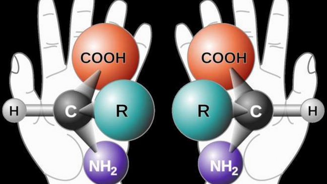 ¿Qué es la homoquiralidad, protagonista del Nobel de Química?