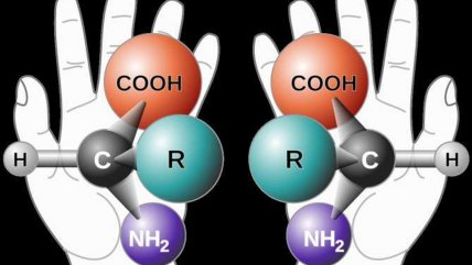 ¿Qué es la homoquiralidad, protagonista del Nobel de Química?