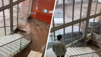 Comunidad de U. Los Andes se mantendrá en el campus: 