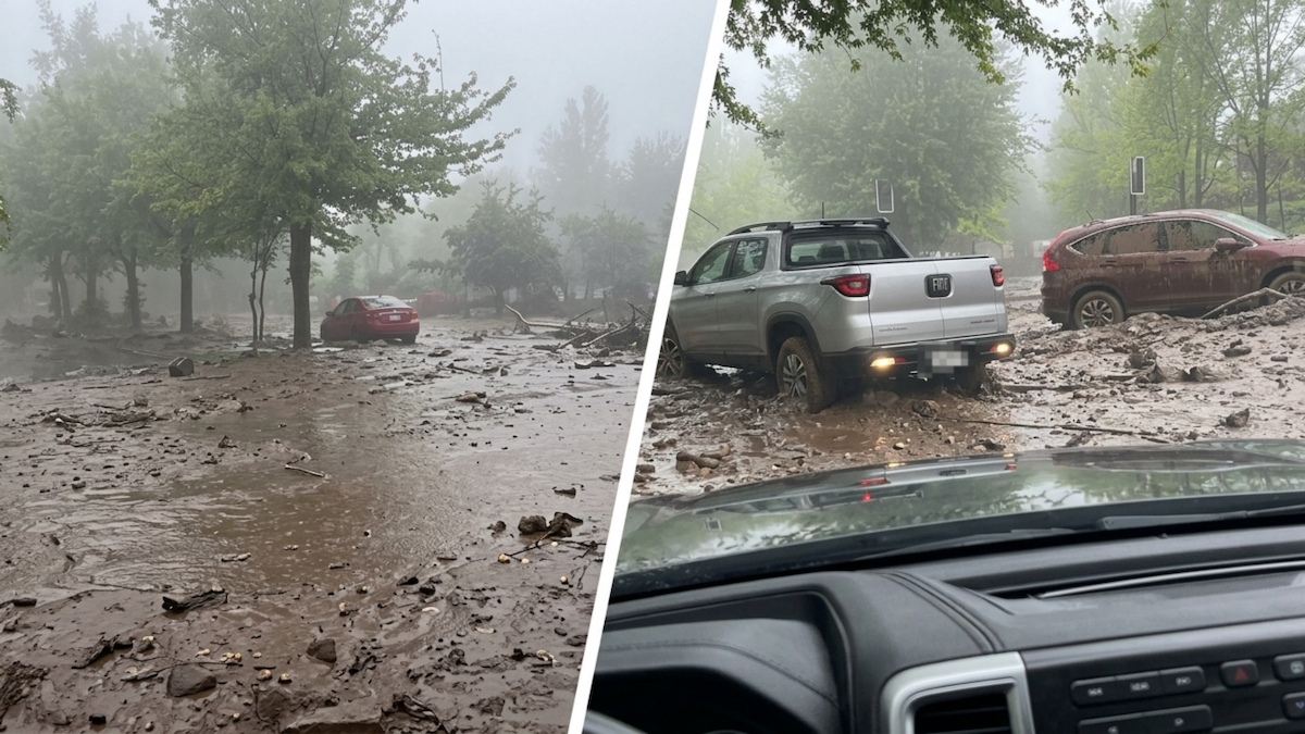 Meteorología sobre evento en San Carlos de Apoquindo: "Correspondería a una remoción en masa"