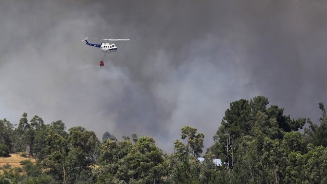 Incendios forestales cubren de humo la principal ciudad de la Amazonía brasileña