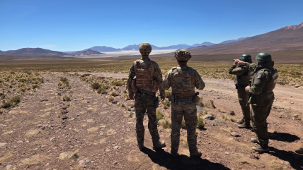   Carabineros detuvo a 20 personas y recuperó 23 autos en operativo binacional Chile-Bolivia 