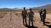 Carabineros detuvo a 20 personas y recuperó 23 autos en operativo binacional Chile-Bolivia