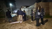 Hombre está en riesgo vital tras ser baleado al salir de presunta fiesta clandestina en Puente Alto