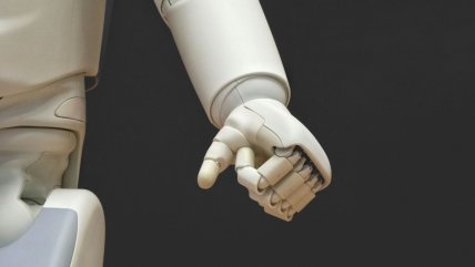 Robot acosó a una niña de 16 años: Sus dueños transmitieron la escena por redes sociales