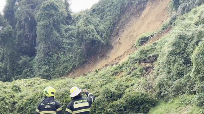 Al menos 10 casas al borde del derrumbe en Lota tras deslizamiento de tierra