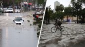 Meteorólogo: Es suficiente para que los negacionistas del cambio climático entiendan que no es un chiste