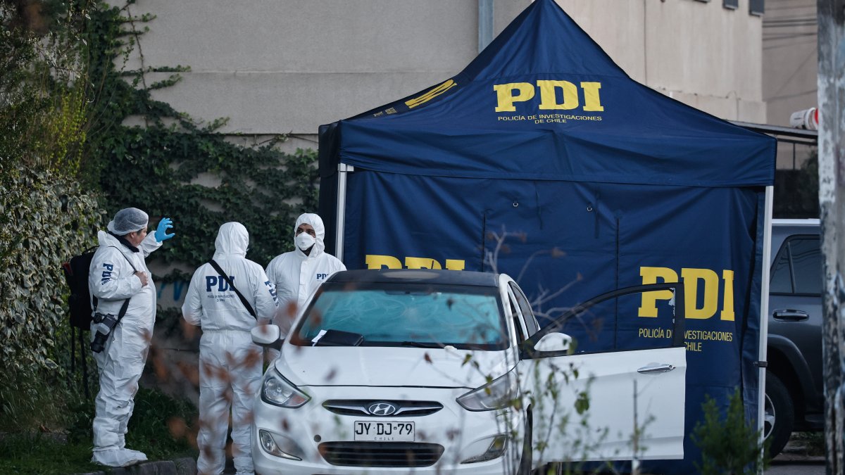 Investigan parricidio: adulta mayor murió tras brutal agresión en Pudahuel