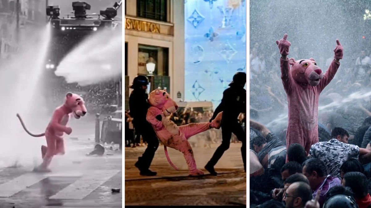 ¿La "Pantera rosa" en las protestas de Francia? La verdad de sus imágenes virales