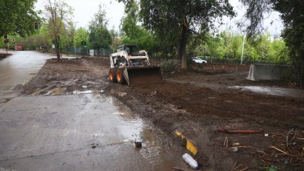   Experta: El recorte económico en cambio climático es un error porque es más costoso no hacer nada 