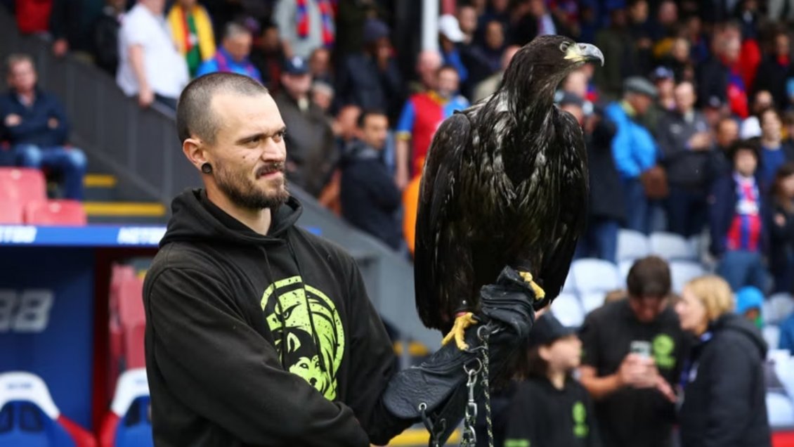 PETA exige a Crystal Palace fin de su águila mascota: 