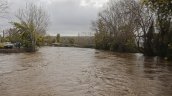 Angol: Senapred advirtió posible colapso del río Rehue y prepara eventuales evacuaciones