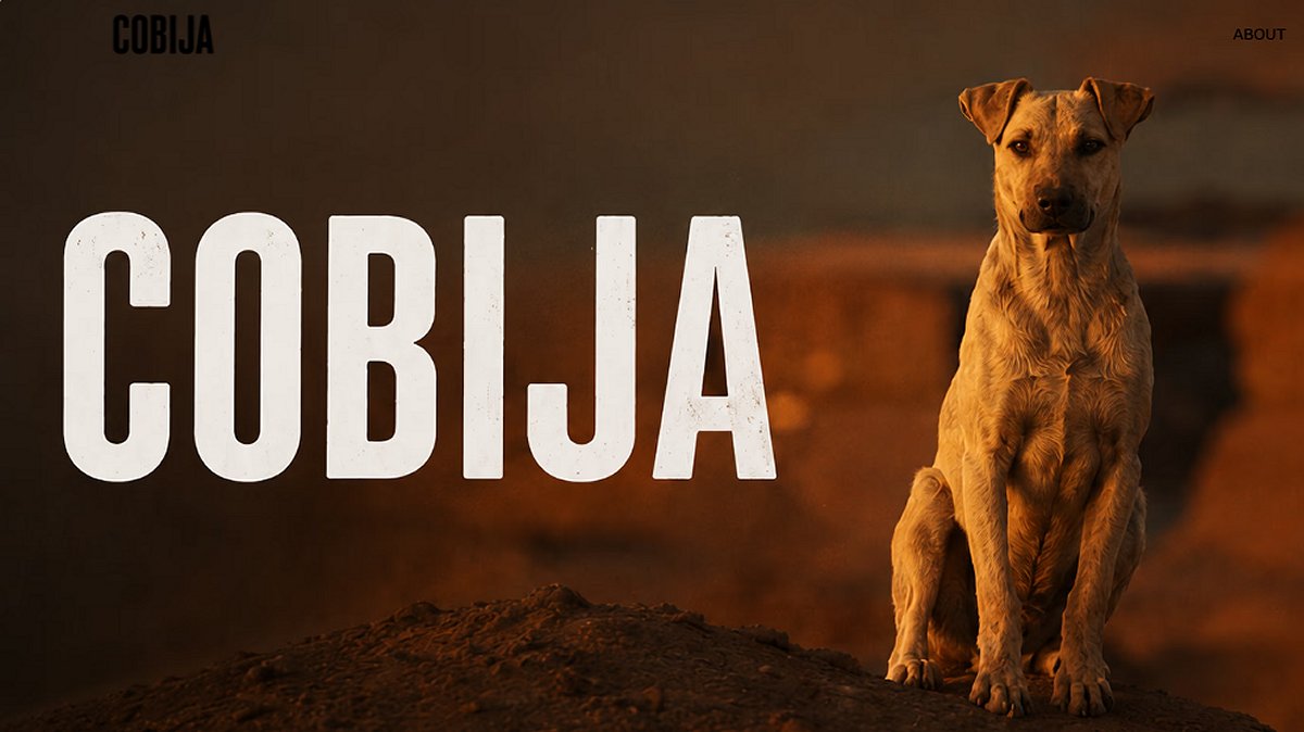 "Cobija": Documental explora ecos fantasmales del viejo puerto nortino