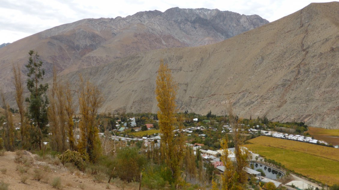 Investigan presunto femicidio de joven madre en Pisco Elqui