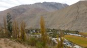 Investigan presunto femicidio de joven madre en Pisco Elqui